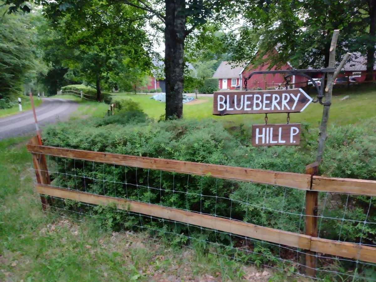 Blueberry Hill Βίλα Skånes Fagerhult Εξωτερικό φωτογραφία